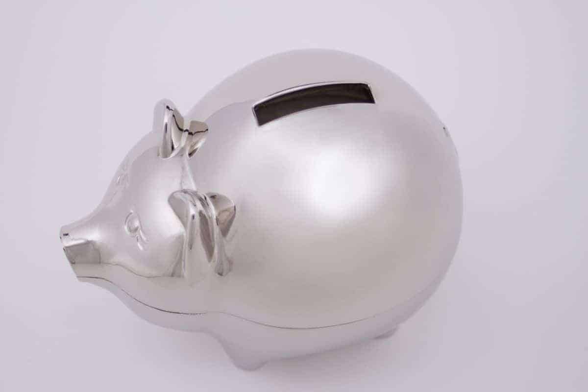 save money in the piggy bank
