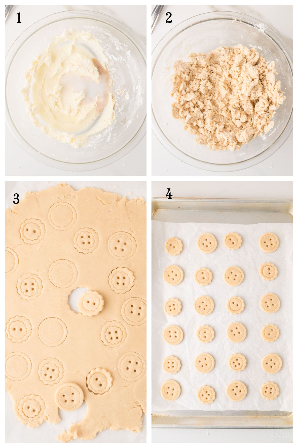 Four panels show button cookies in stages: the dough creamed, crumbly, rolled and cut into button shapes, and finally arranged on a baking sheet lined with parchment paper, ready for baking.