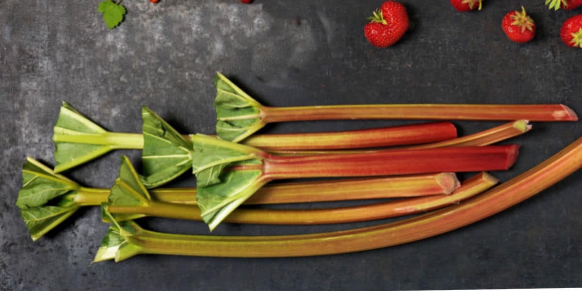 Several stalks of fresh rhubarb with leafy tops rest on a dark surface, while a few ripe strawberries in the corner hint at the perfect pairing for a homemade strawberry rhubarb pie.