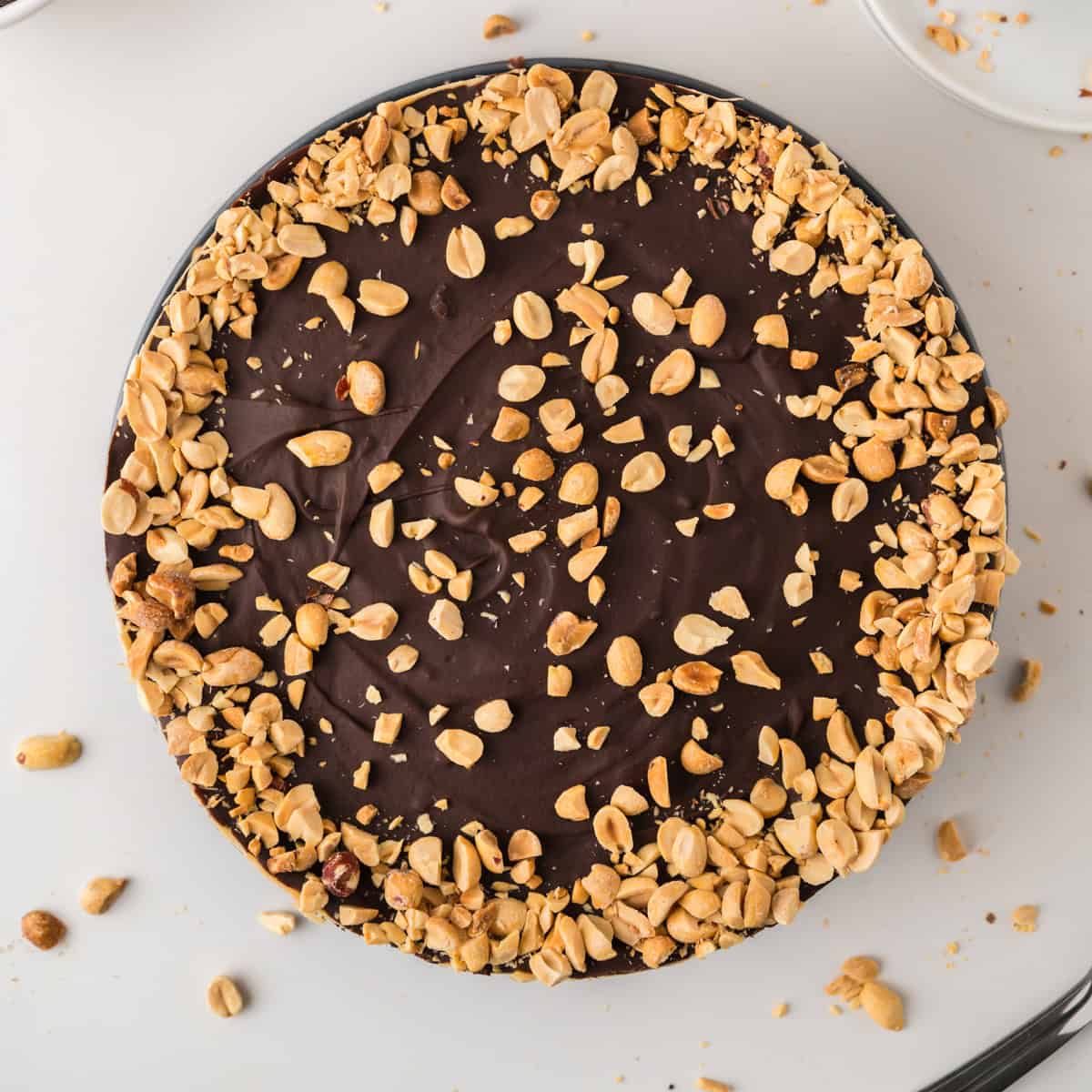 A round chocolate tart topped with a generous layer of chopped peanuts, displayed on a white surface with a few peanuts scattered around.